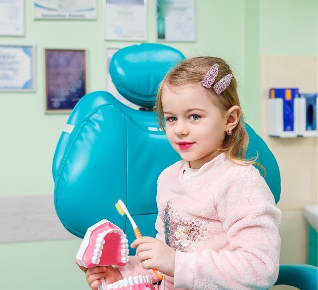Little girl holding a dental model and toothbrush in pediatric dental office, promoting children's dental health and care at Fairhope Children's Dentistry.